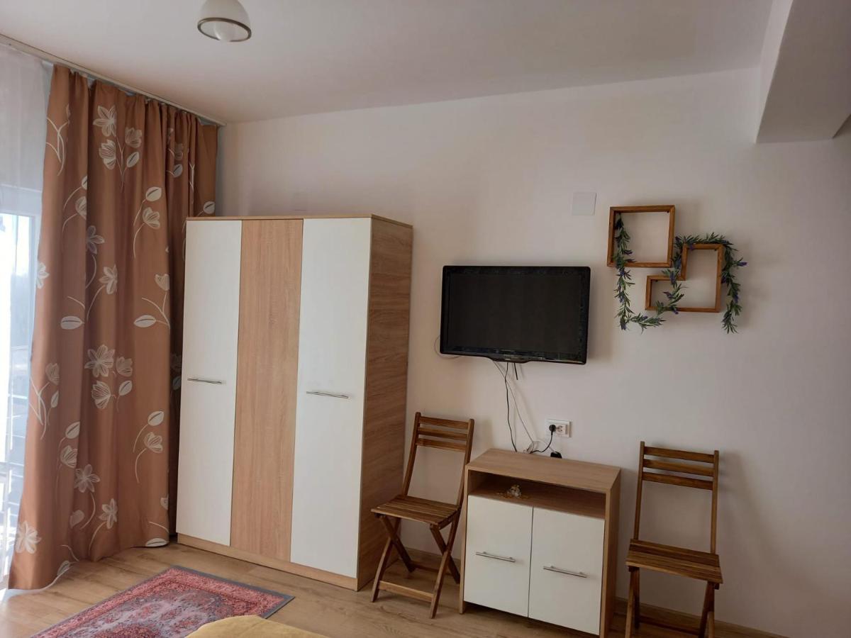 Hotel Conacul Doamnei Nucsoara Exteriér fotografie