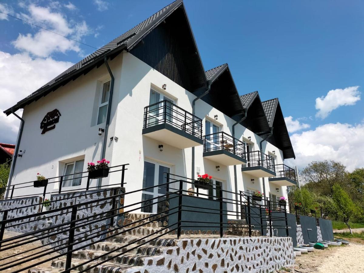 Hotel Conacul Doamnei Nucsoara Exteriér fotografie