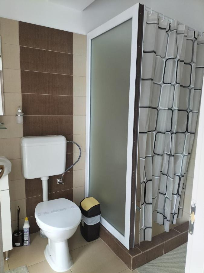 Hotel Conacul Doamnei Nucsoara Exteriér fotografie