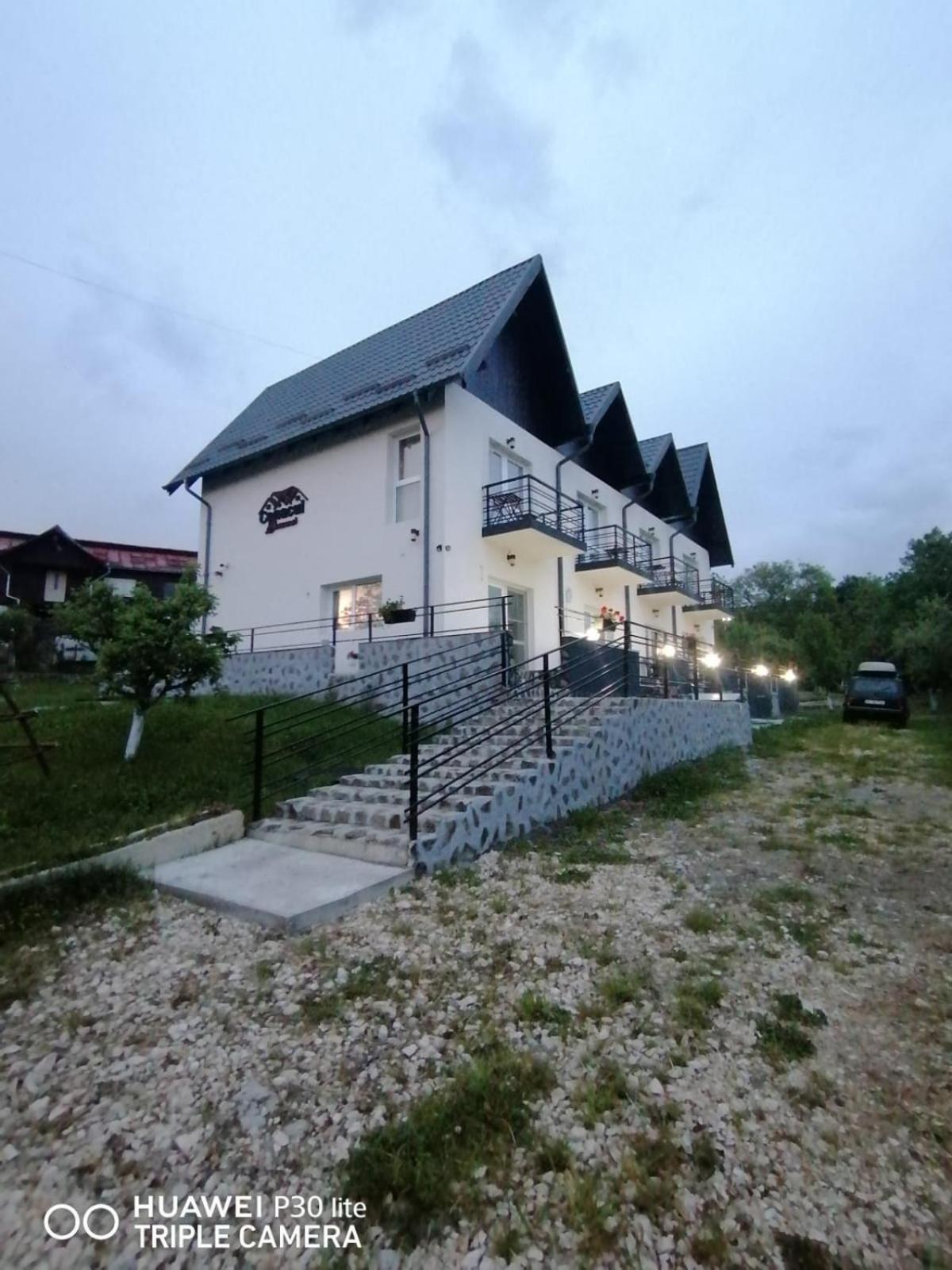 Hotel Conacul Doamnei Nucsoara Exteriér fotografie