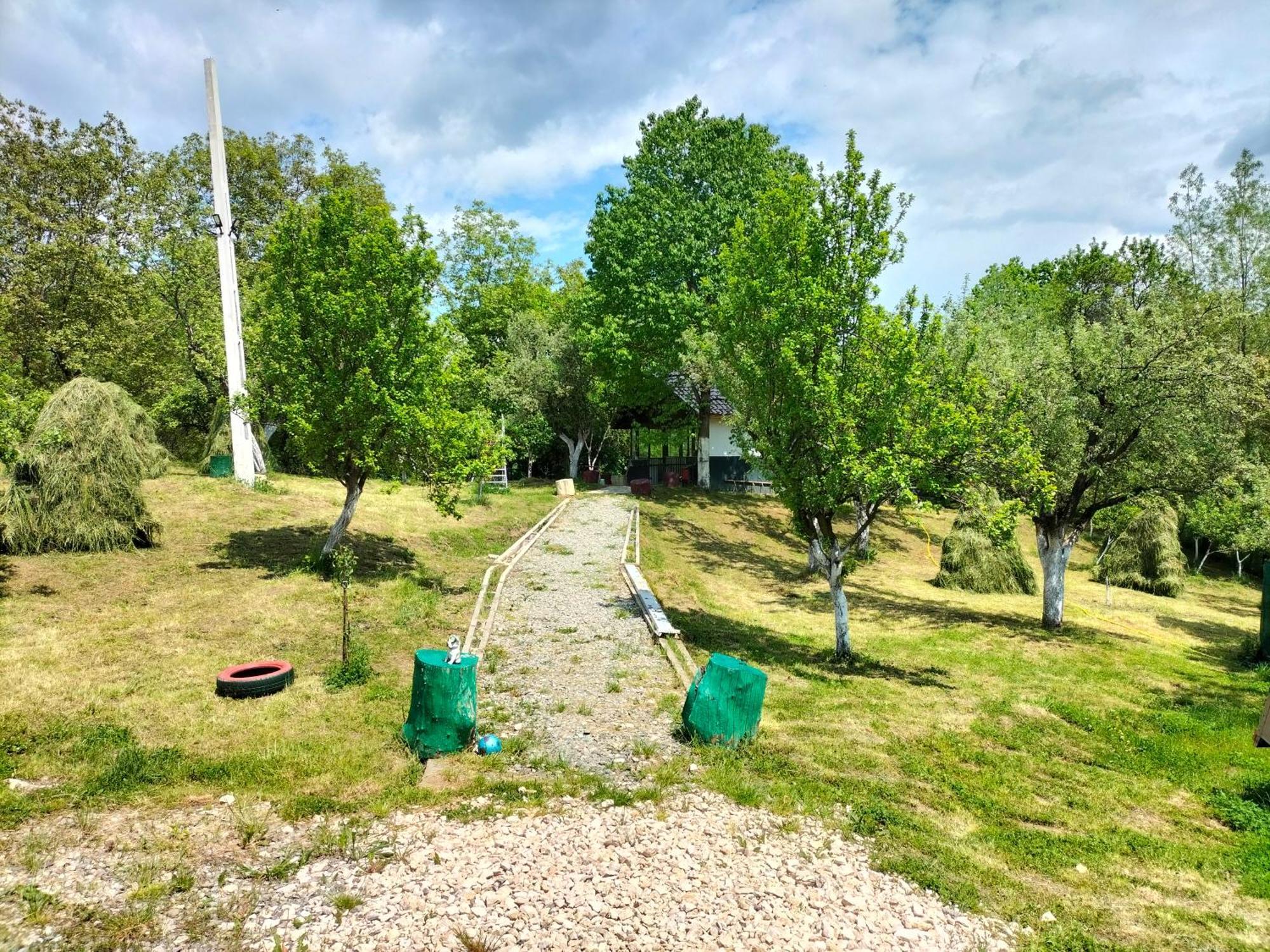 Hotel Conacul Doamnei Nucsoara Exteriér fotografie